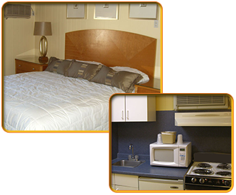 King bed and Kitchen King bed and Kitchen